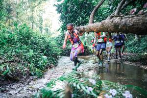 BIB: 
                            <button type="button" onclick="openModal(25446580)" class="btn btn-primary btn-sm float-right btn-popup" data-toggle="modal" data-target=".modal-high-quality">
                        <i class="fas fa-shopping-cart"></i> Add to Cart
                    </button>
                                            <button type="button" onclick="isThisMe(25446580, true)" class="btn btn-success btn-sm float-right btn-popup btn-isme hidden" data-toggle="tooltip" data-placement="bottom" title="นี่คือรูปของคุณใช่ไหม คลิกที่นี่เพื่อเอาเข้าอัลบั้ม">
                        <i class="fas fa-plus"></i> Add to album
                    </button>
                    <button type="button" onclick="isThisMe(25446580, false)" class="btn btn-warning btn-sm float-right btn-popup btn-isnotme hidden">
                        <i class="fas fa-ban"></i> Remove from album
                    </button>